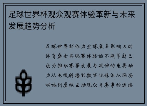 足球世界杯观众观赛体验革新与未来发展趋势分析